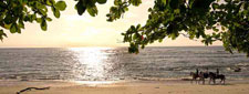 Costa Rica-Guanacaste-La Posada Beach Escape